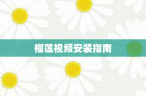 榴莲视频安装指南图片