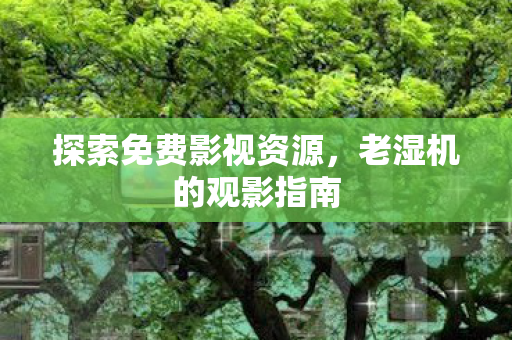 探索免费影视资源图片