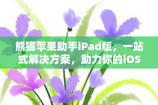 熊猫苹果助手iPad版图片