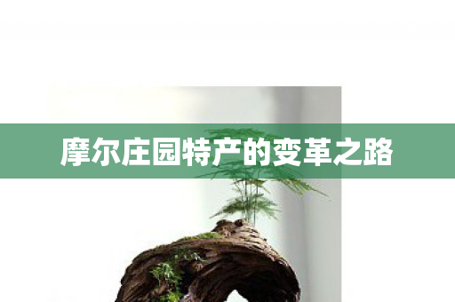 摩尔庄园特产的变革之路图片