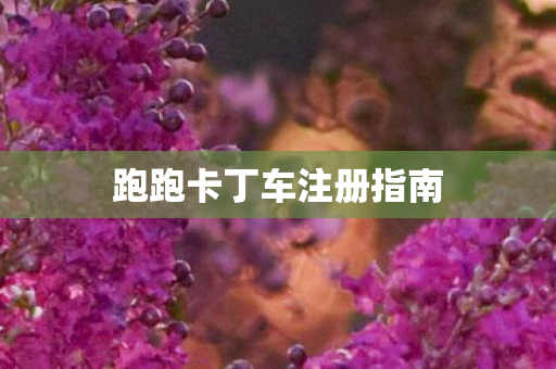 跑跑卡丁车注册指南图片