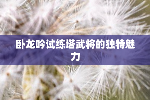 卧龙吟试练塔武将的独特魅力图片