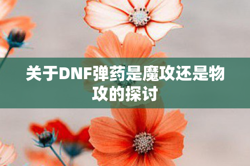 关于DNF弹药是魔攻还是物攻的探讨图片