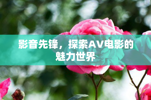 探索AV电影的魅力世界图片
