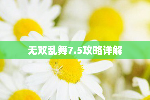 无双乱舞7图片