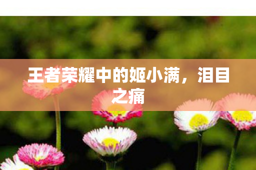 王者荣耀中的姬小满图片