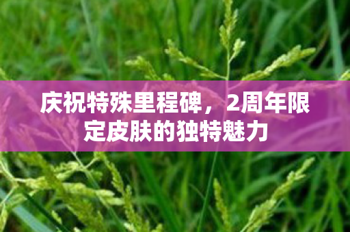 2周年限定皮肤的独特魅力图片