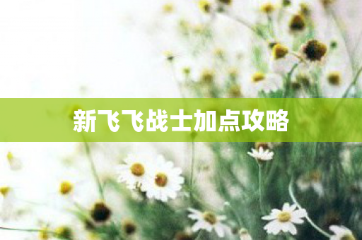 新飞飞战士加点攻略图片
