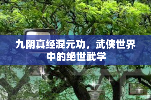 武侠世界中的绝世武学图片