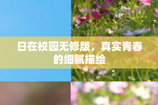 真实青春的细腻描绘图片
