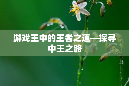游戏王中的王者之道图片