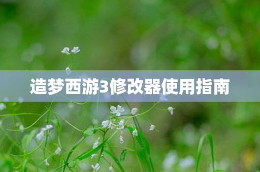 造梦西游3修改器使用指南图片