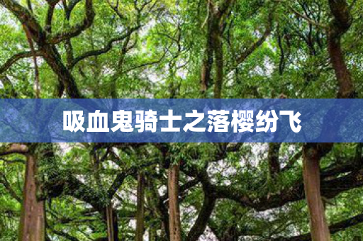 吸血鬼骑士之落樱纷飞图片