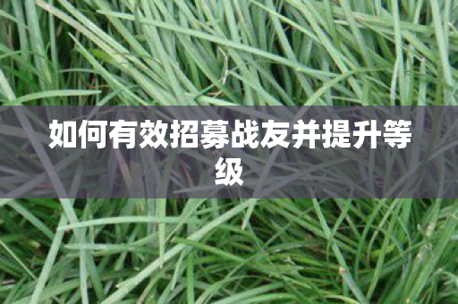 如何有效招募战友并提升等级图片