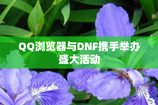 QQ浏览器与DNF携手举办盛大活动图片