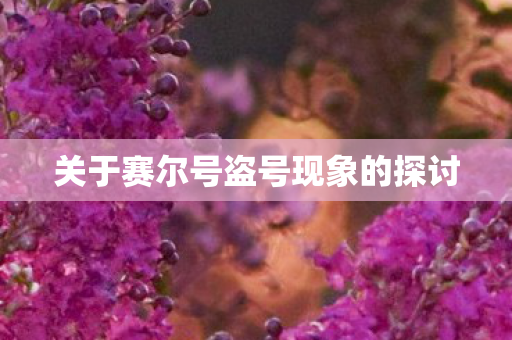 关于赛尔号盗号现象的探讨图片