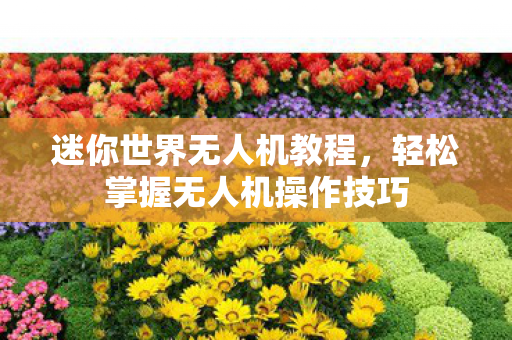 轻松掌握无人机操作技巧图片