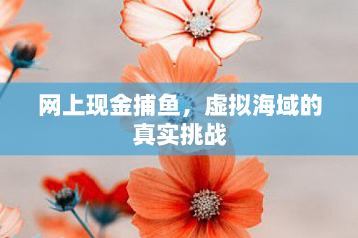 虚拟海域的真实挑战图片