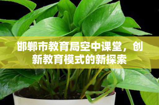 邯郸市教育局空中课堂图片