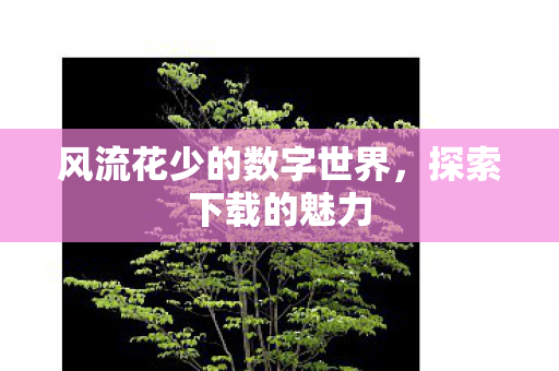 风流花少的数字世界图片