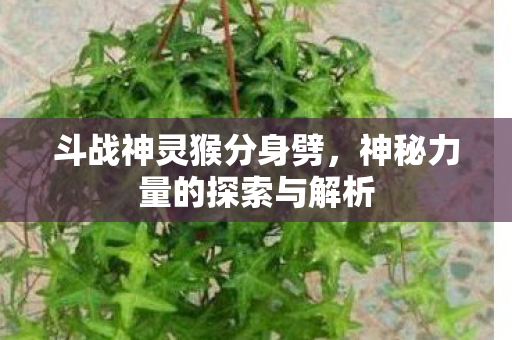 神秘力量的探索与解析图片