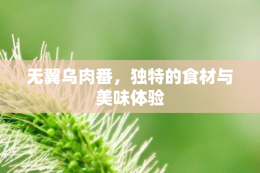 独特的食材与美味体验图片