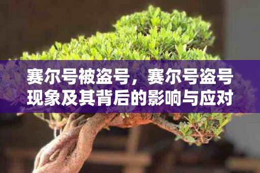 赛尔号盗号现象及其背后的影响与应对之策图片