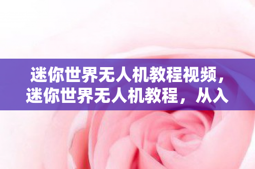 迷你世界无人机教程视频图片