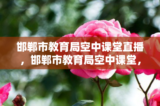 邯郸市教育局空中课堂直播图片