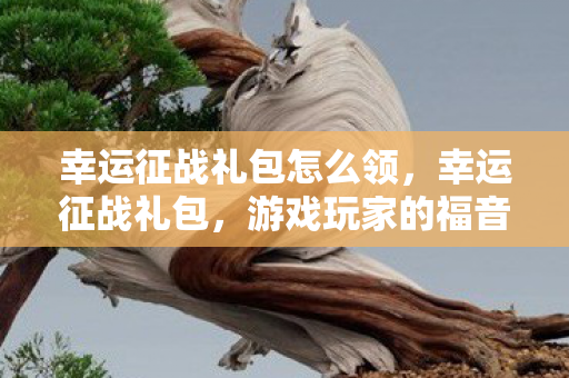 幸运征战礼包怎么领图片