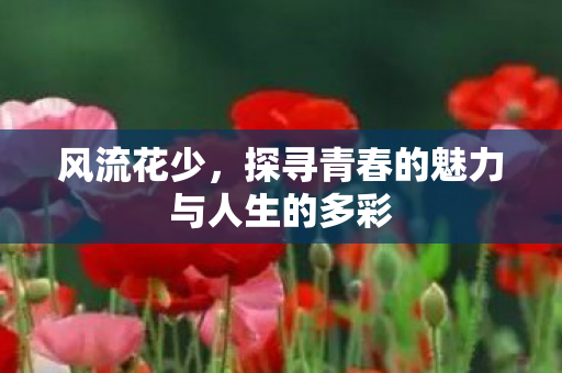 探寻青春的魅力与人生的多彩图片