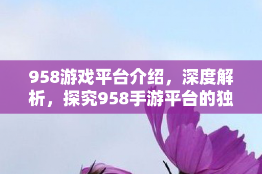 探究958手游平台的独特魅力与优势图片