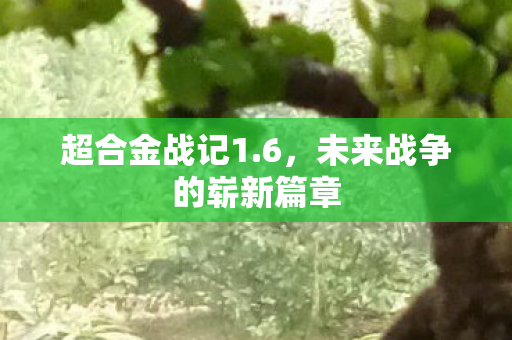 未来战争的崭新篇章图片