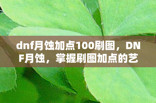 dnf月蚀加点100刷图图片