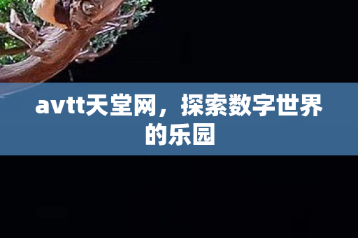 探索数字世界的乐园图片