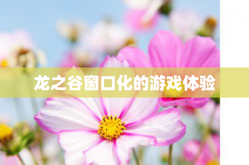 龙之谷窗口化的游戏体验图片