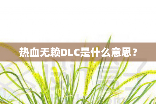 热血无赖DLC是什么意思图片
