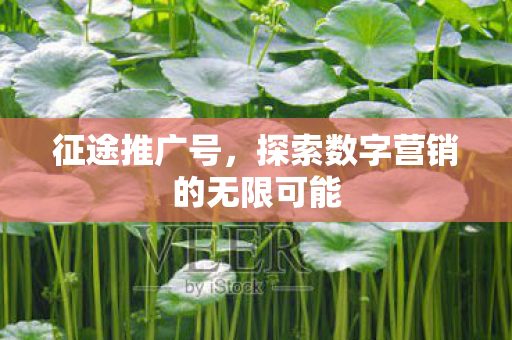 探索数字营销的无限可能图片