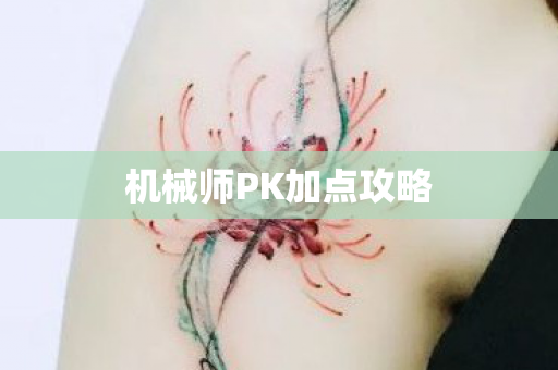 机械师PK加点攻略图片