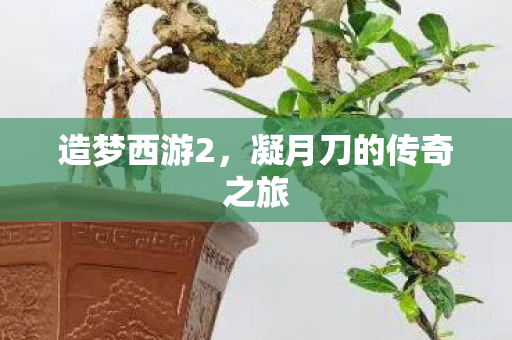 凝月刀的传奇之旅图片