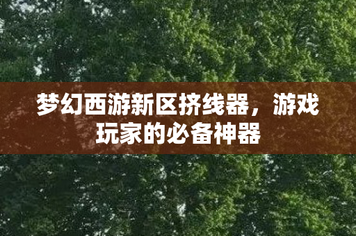 梦幻西游新区挤线器图片