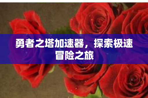 探索极速冒险之旅图片
