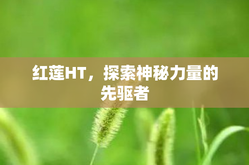 探索神秘力量的先驱者图片