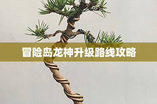冒险岛龙神升级路线攻略图片
