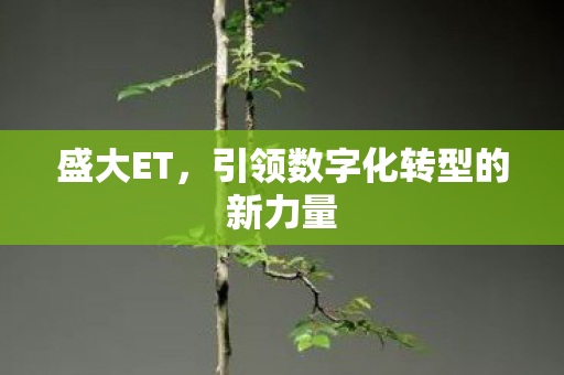 引领数字化转型的新力量图片