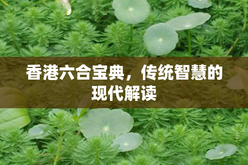 传统智慧的现代解读图片