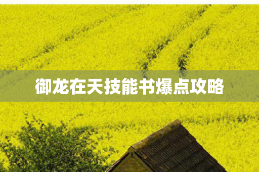 御龙在天技能书爆点攻略图片