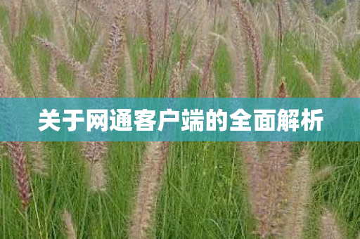 关于网通客户端的全面解析图片