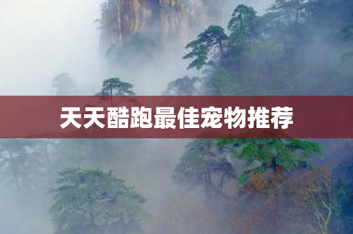 天天酷跑最佳宠物推荐图片