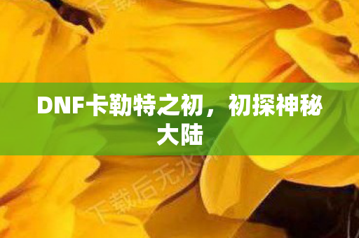 DNF卡勒特之初图片